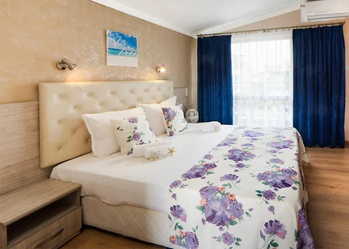 Zeus 3* Pomorie