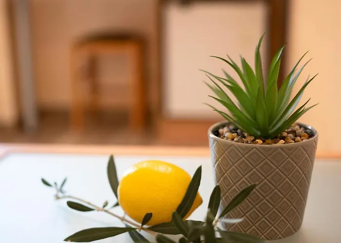 Zeus Szálloda Pomorie